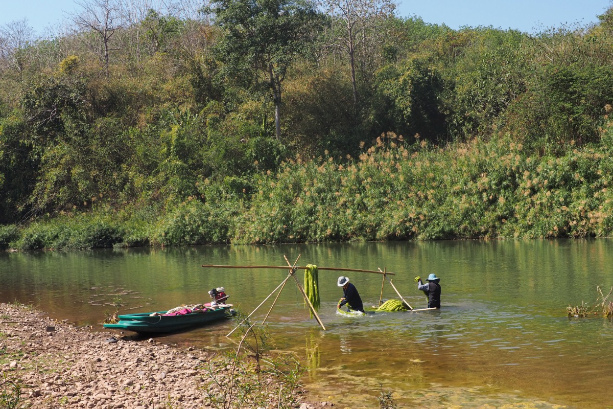 Interviews nandialogue