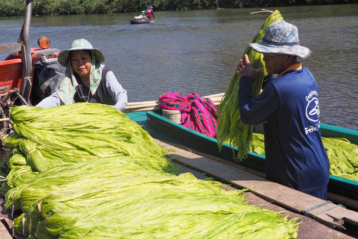 Interviews nandialogue