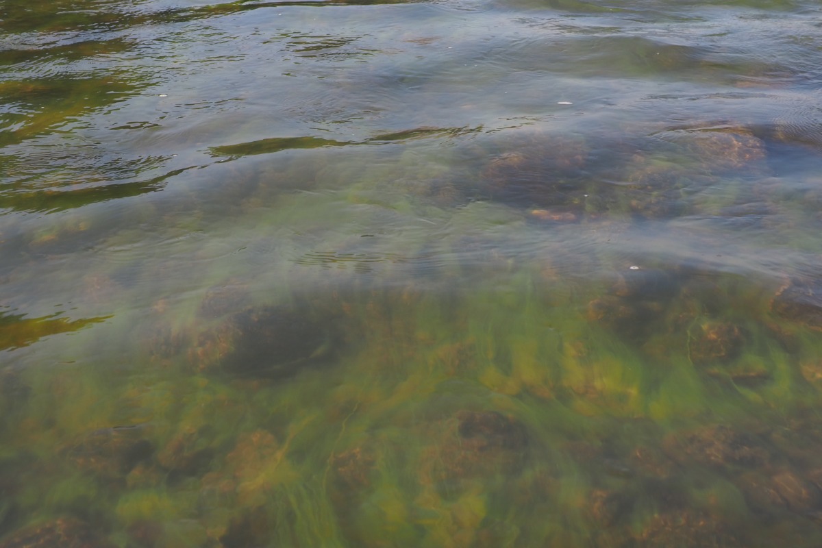 Interviews nandialogue