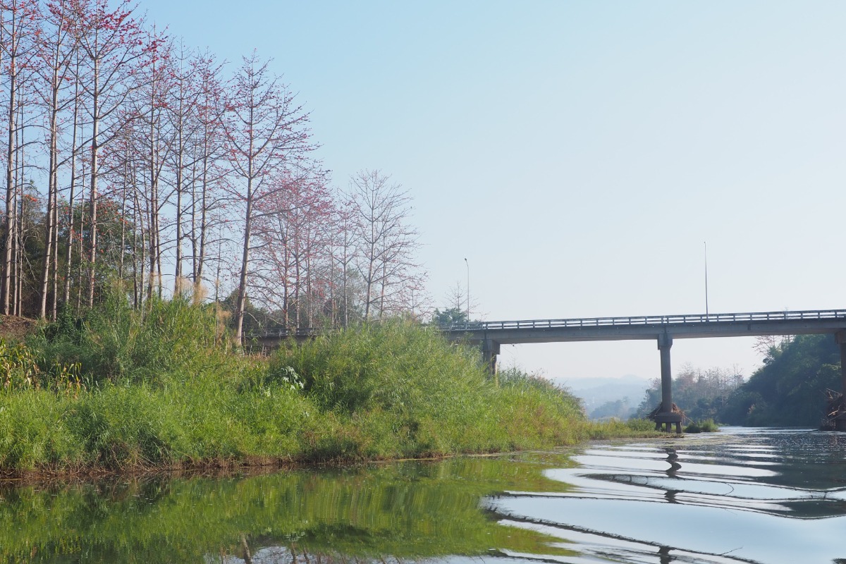 Interviews nandialogue