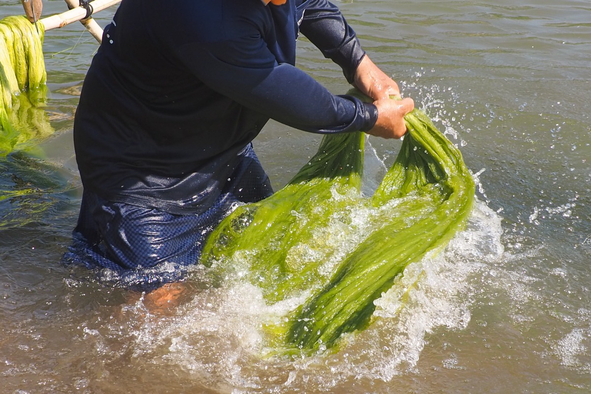 Interviews nandialogue